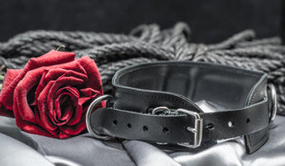  bondageseil-halsband-rote-rose-ansicht-auf-satindecke