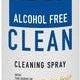 HOT - Clean Spray 150ml - Mr. und Mrs. Love