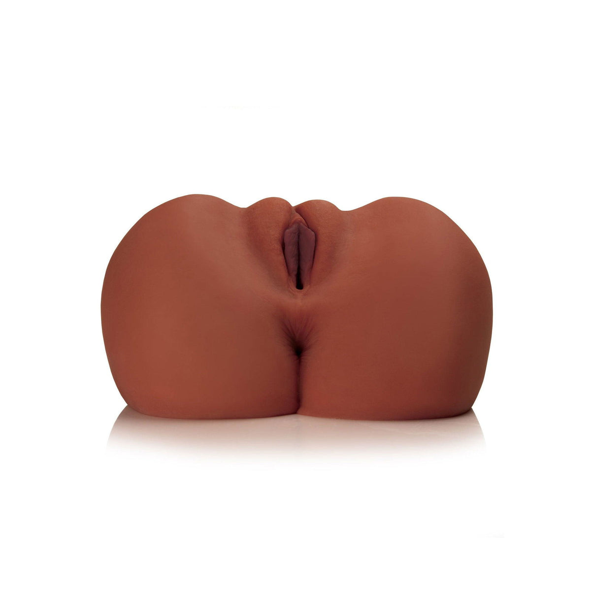 PDX Torso – Produktansicht 6