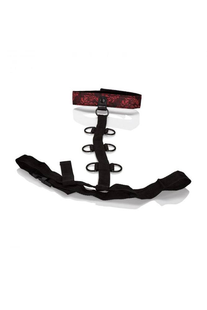 CalExotics Scandal Collar Body Restraint – weitere Ansicht