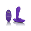 calexotics-remote-pinpoint-pleaser-ansicht-product